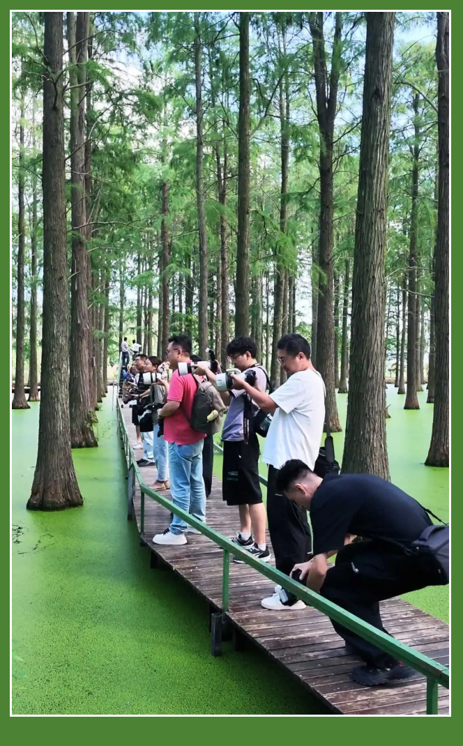 双节同庆，邵伯有戏！ 2026邵伯镇中秋国庆文旅活动集锦来啦！带你回顾高光瞬间